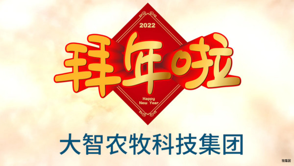 大智集团全体员工给您拜年了